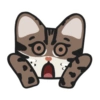 SWAG leopard cat 7