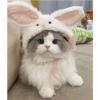 htyes