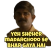 Mirzapur 22