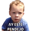Gavin 18
