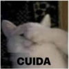 Memes para contestar 2 19