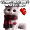 QUIERO PASAR MIS 7 carols.zdio VIDAS CONTIGO