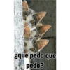 Gatitos tiernos :3 26