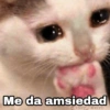 Gatitos SAD 😞 1 12