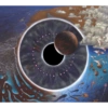 Pink Floyd 18