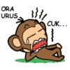 Monyet Lucu Cok Indonesia 24