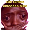 Memes do zap  16