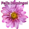 Feliz Domingo!