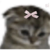 ꒰ ´animals with bows ꒱ 8