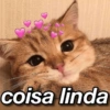 +++ CANTADAS E INDIRETAS 🤭❤️ 9