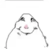 Hamster meme 2 5