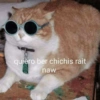 quiero ber chichis rait naw