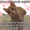 🐱🐾Mishis🐈🐈‍⬛Para Tu Crush💘😻 9
