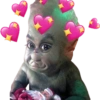 Baby Grinch 5