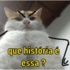 Você vai amar essas 🤣 7