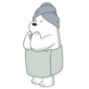 Ice bear 6