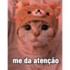 ANIMALzinhos 9