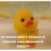 tu mama sabe k ocupas el internet para dejarme el visto??