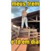 Minhas figurinhas 9