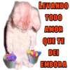LEVANDO TODO AMOR QUE TE DEI EMBORA