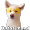 baewhorx Ontas mami