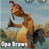 Opa Brows