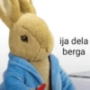 ija dela berga
