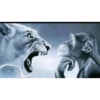 2025 trend gifs 12
