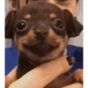 Lol 7