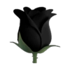 BLACK 5