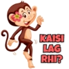 Funny Monkey 6