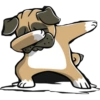 Dog salute 21