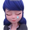 STICKERSMN