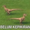 Temen 7