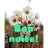 Boa noite Flores 16