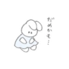Soft 13