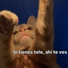 Cómo q me despida bien? 🤨 13