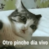 Otro pinche día vivo