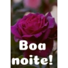 Boa noite Flores 18