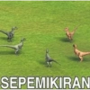 Temen 8