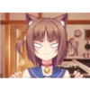 Nekopara muy XD 9 16