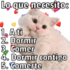 🐱🐾Mishis🐈🐈‍⬛Para Tu Crush💘😻 8