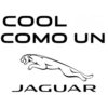 Jaguar Colombia 6