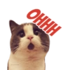 @ballolet88 ОННН