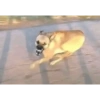 Tiktok stickers 14