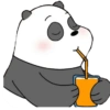Panda Escandalosos :3 7