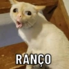 RANÇO @ldas Creatures
