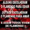 Minhas figurinhas 11