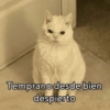 Temprano desde bien despierto @iTroy