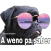 @baewhorx A weno pa saber